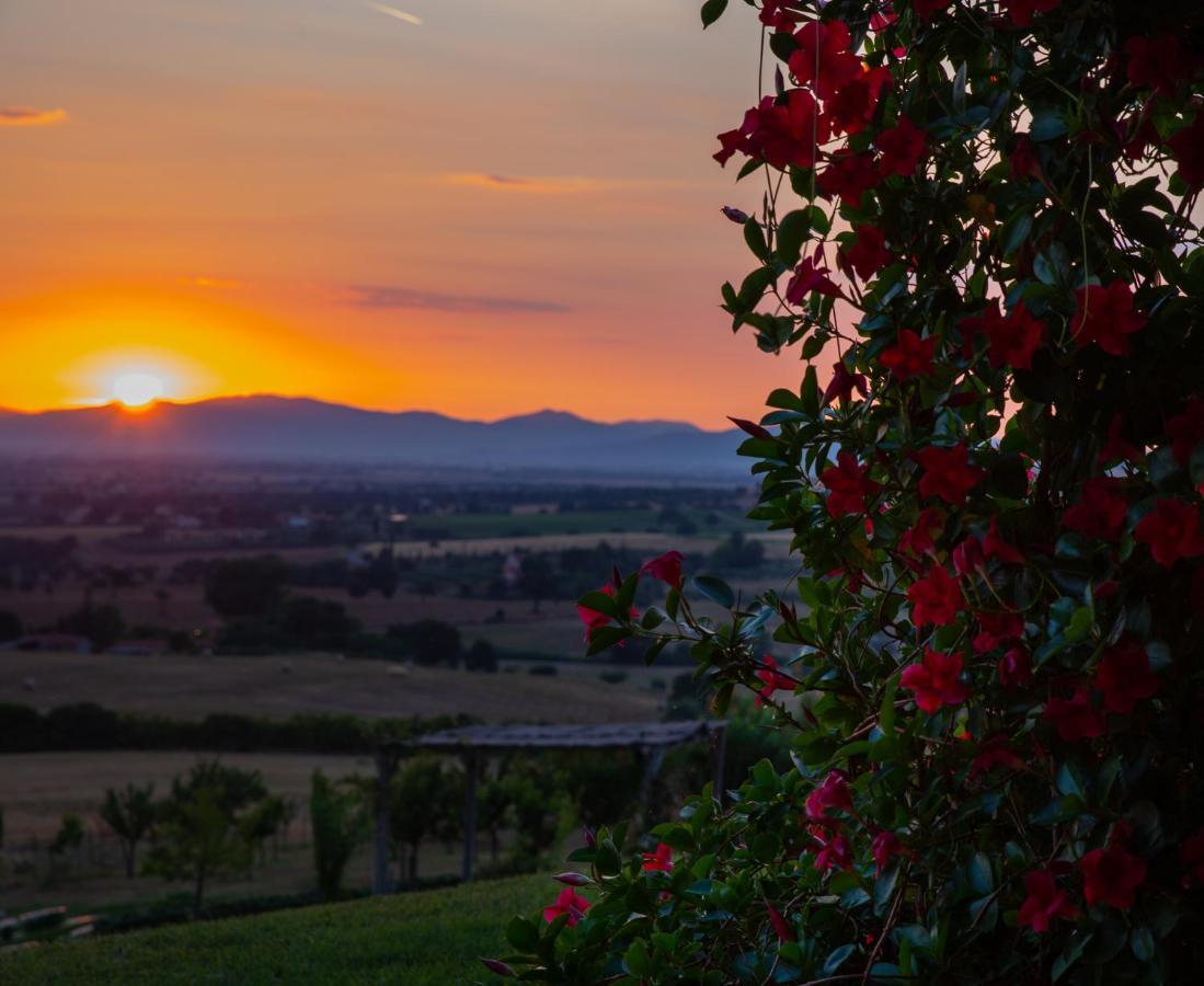 Podere N.8 Bio Casale Maremma Альберезе Экстерьер фото